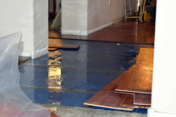 Professional Basement Flood Cleanup technician working in Glen Rock, NJ